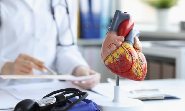 Wie ein Kardiologe Ihre Herzgesundheit überwacht